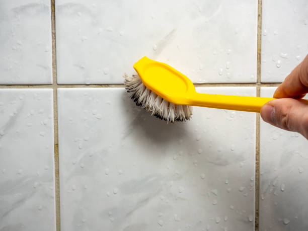 Best Mold Testing  in Eagleview, PA