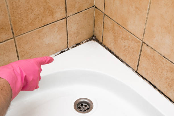 Best Mold Remediation Experts  in Eagleview, PA